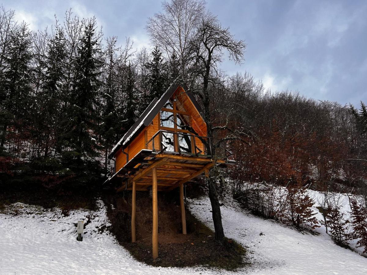 Tara Place - Camp Rabrenovic Mojkovac Exterior foto